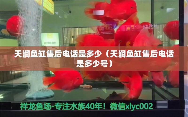 天润鱼缸售后电话是多少（天润鱼缸售后电话是多少号） 祥龙水族医院