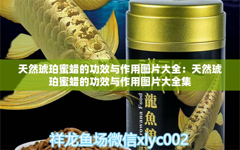 天然琥珀蜜蜡的功效与作用图片大全：天然琥珀蜜蜡的功效与作用图片大全集 文玩