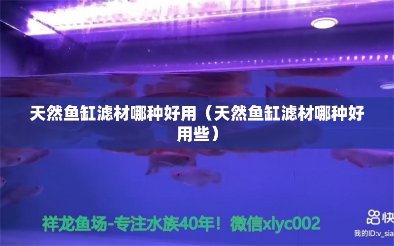 天然鱼缸滤材哪种好用（天然鱼缸滤材哪种好用些） 祥龙水族医院