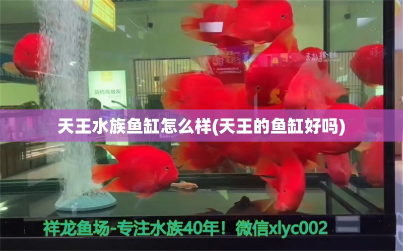 天王水族鱼缸怎么样(天王的鱼缸好吗) 赤焰中国虎鱼 第1张