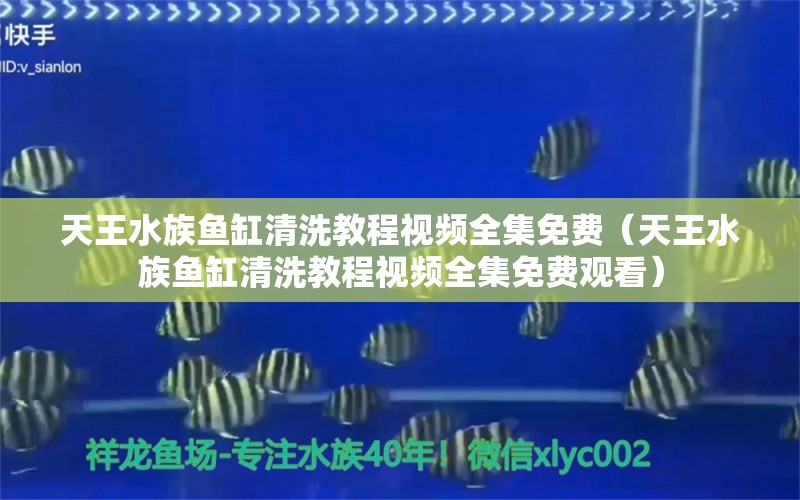 天王水族鱼缸清洗教程视频全集免费（天王水族鱼缸清洗教程视频全集免费观看）