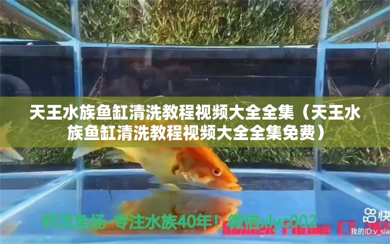 天王水族鱼缸清洗教程视频大全全集（天王水族鱼缸清洗教程视频大全全集免费）