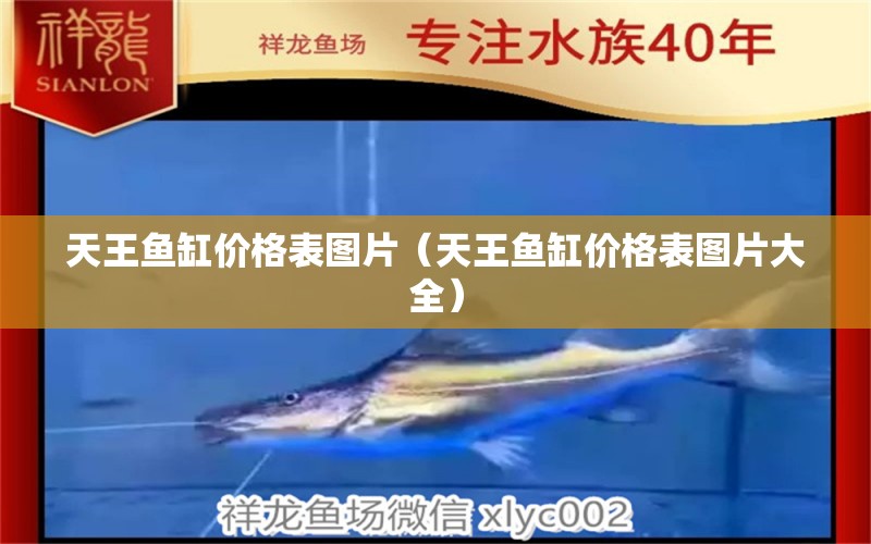 天王鱼缸价格表图片（天王鱼缸价格表图片大全） 祥龙水族滤材/器材