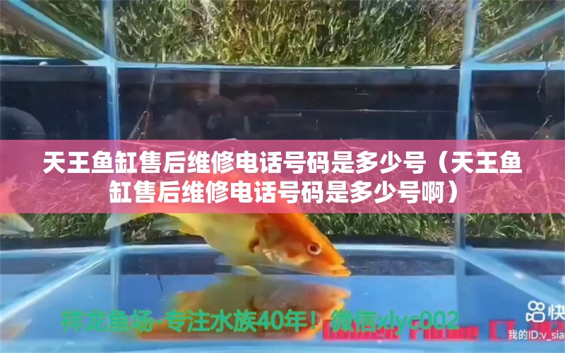 天王鱼缸售后维修电话号码是多少号（天王鱼缸售后维修电话号码是多少号啊）