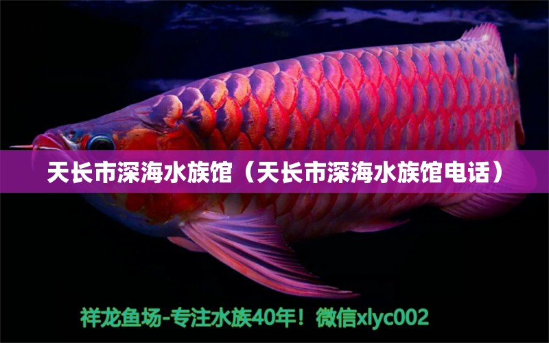 天长市深海水族馆（天长市深海水族馆电话） 全国水族馆企业名录