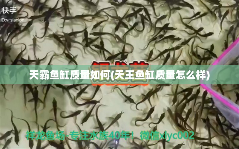 天霸鱼缸质量如何(天王鱼缸质量怎么样)