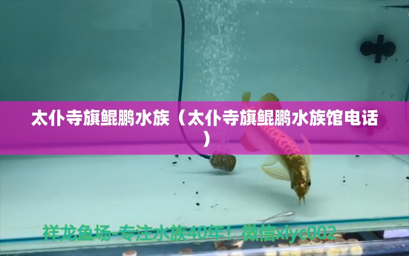 太仆寺旗鲲鹏水族（太仆寺旗鲲鹏水族馆电话） 全国水族馆企业名录