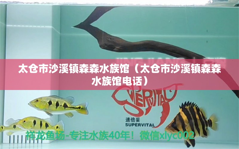 太仓市沙溪镇森森水族馆（太仓市沙溪镇森森水族馆电话）