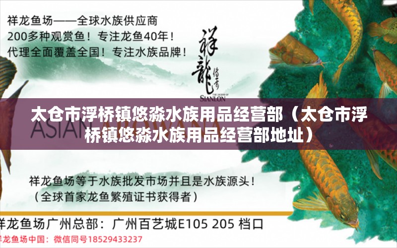 太仓市浮桥镇悠淼水族用品经营部（太仓市浮桥镇悠淼水族用品经营部地址）