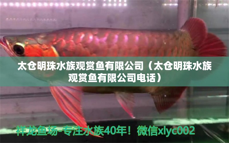 太仓明珠水族观赏鱼有限公司（太仓明珠水族观赏鱼有限公司电话）