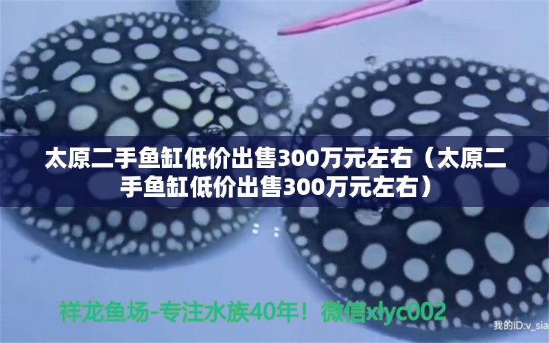 太原二手鱼缸低价出售300万元左右（太原二手鱼缸低价出售300万元左右）