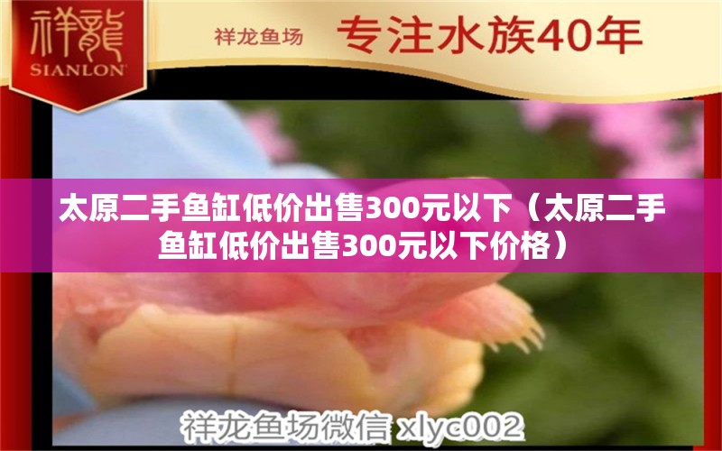 太原二手鱼缸低价出售300元以下（太原二手鱼缸低价出售300元以下价格）