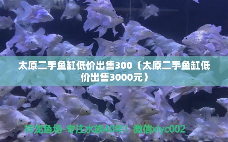 太原二手鱼缸低价出售300（太原二手鱼缸低价出售3000元）