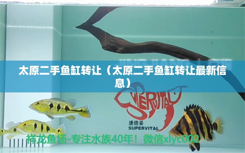 太原二手鱼缸转让（太原二手鱼缸转让最新信息） 元宝凤凰鱼专用鱼粮