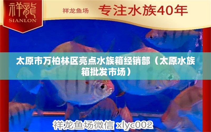 太原市万柏林区亮点水族箱经销部（太原水族箱批发市场）