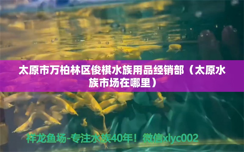 太原市万柏林区俊棋水族用品经销部（太原水族市场在哪里）