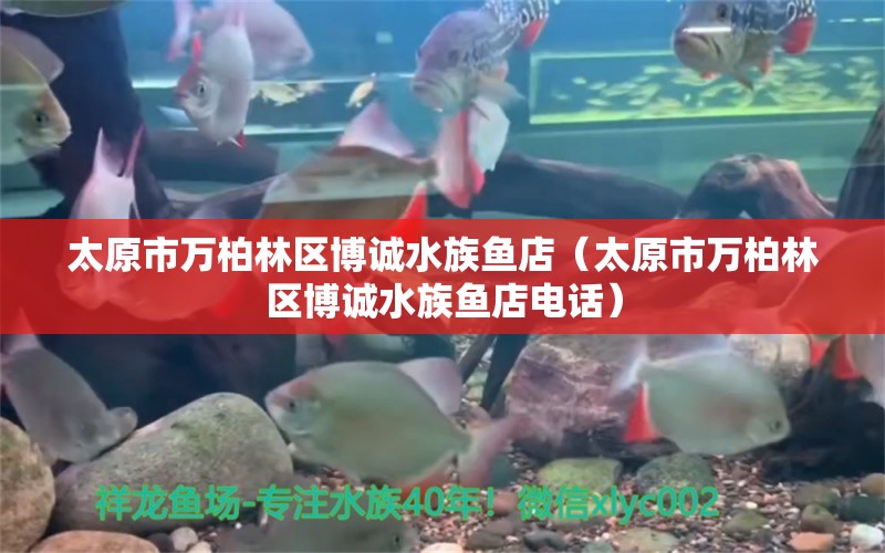 太原市万柏林区博诚水族鱼店（太原市万柏林区博诚水族鱼店电话） 全国水族馆企业名录