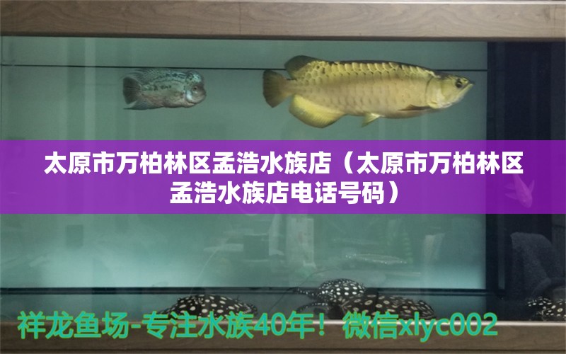 太原市万柏林区孟浩水族店（太原市万柏林区孟浩水族店电话号码） 全国水族馆企业名录