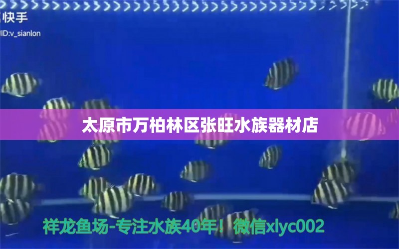 太原市万柏林区张旺水族器材店