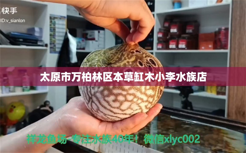 太原市万柏林区本草缸木小李水族店