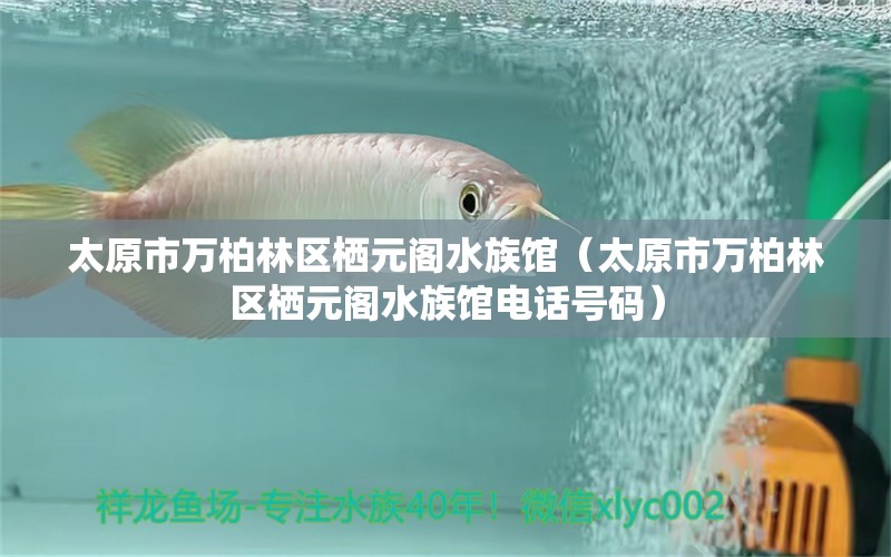 太原市万柏林区栖元阁水族馆（太原市万柏林区栖元阁水族馆电话号码）