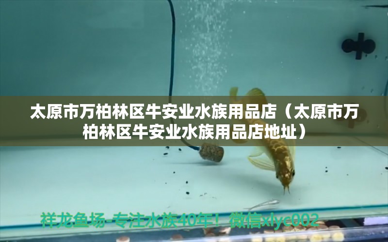 太原市万柏林区牛安业水族用品店（太原市万柏林区牛安业水族用品店地址）