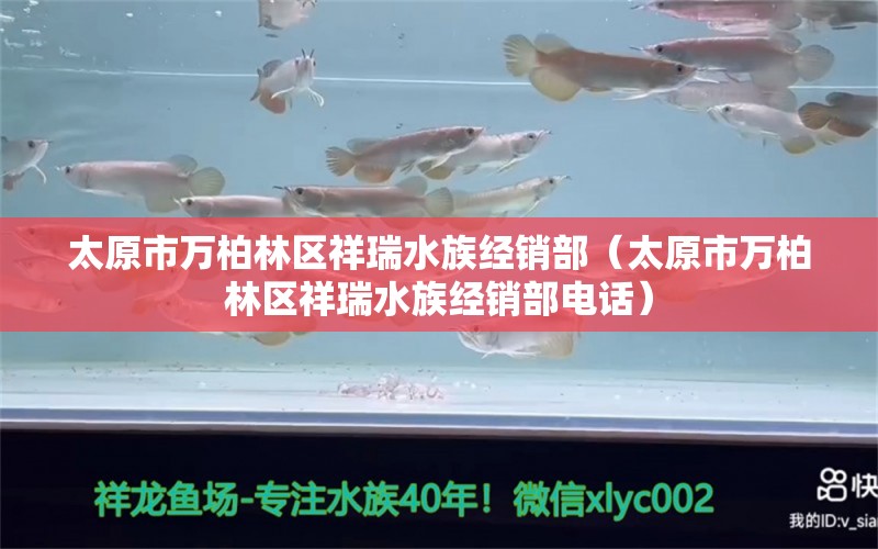 太原市万柏林区祥瑞水族经销部（太原市万柏林区祥瑞水族经销部电话）