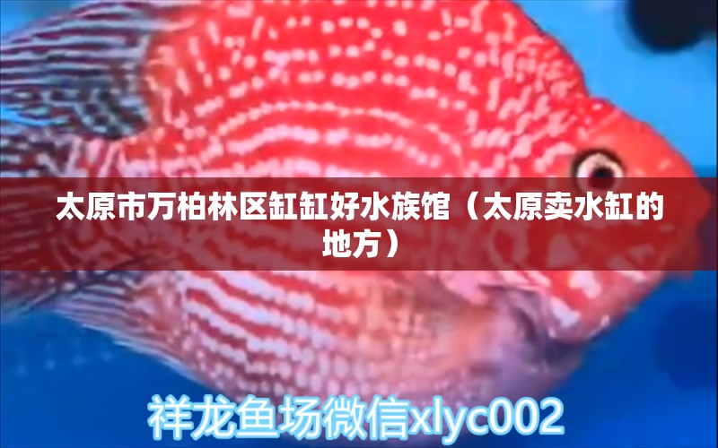 太原市万柏林区缸缸好水族馆（太原卖水缸的地方）