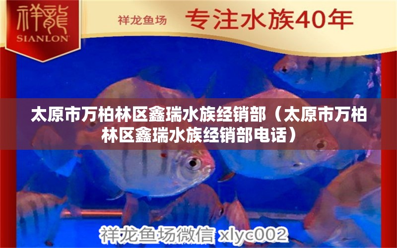 太原市万柏林区鑫瑞水族经销部（太原市万柏林区鑫瑞水族经销部电话）