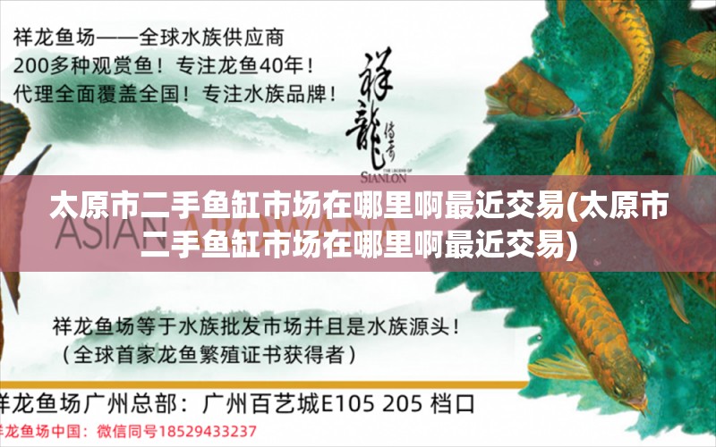 太原市二手鱼缸市场在哪里啊最近交易(太原市二手鱼缸市场在哪里啊最近交易) 月光鸭嘴鱼苗