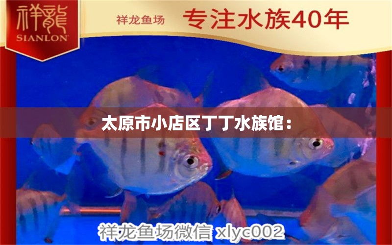 太原市小店区丁丁水族馆：