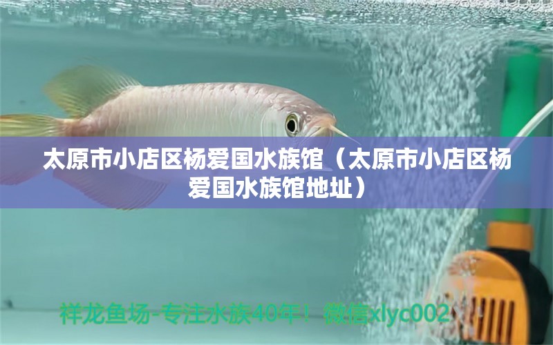 太原市小店区杨爱国水族馆（太原市小店区杨爱国水族馆地址）