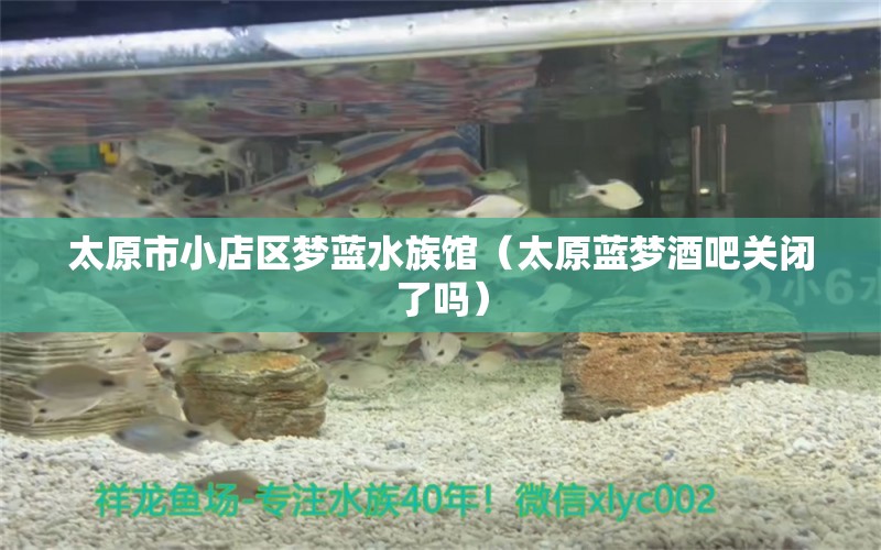 太原市小店区梦蓝水族馆（太原蓝梦酒吧关闭了吗）