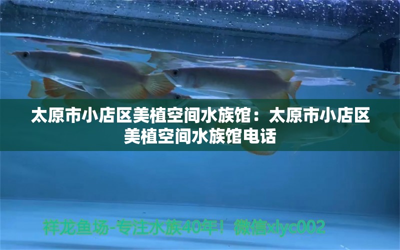 太原市小店区美植空间水族馆：太原市小店区美植空间水族馆电话