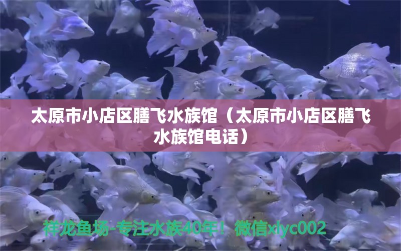 太原市小店区膳飞水族馆（太原市小店区膳飞水族馆电话） 全国水族馆企业名录