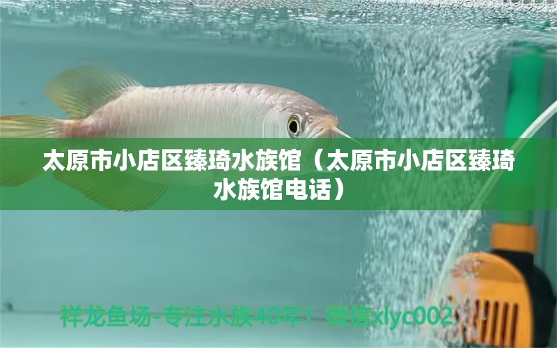 太原市小店区臻琦水族馆（太原市小店区臻琦水族馆电话）