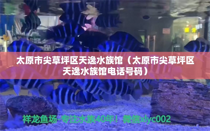 太原市尖草坪区天逸水族馆（太原市尖草坪区天逸水族馆电话号码）