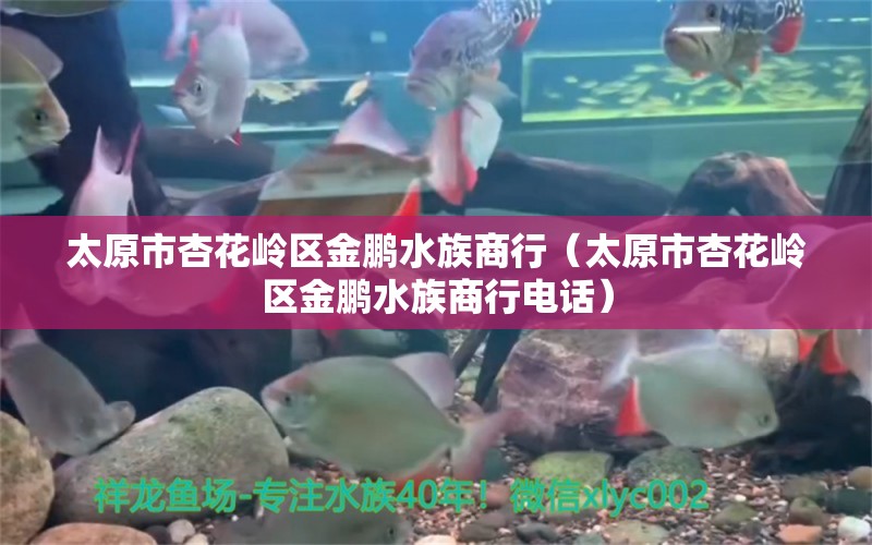 太原市杏花岭区金鹏水族商行（太原市杏花岭区金鹏水族商行电话）