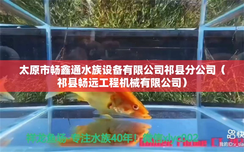 太原市畅鑫通水族设备有限公司祁县分公司（祁县畅远工程机械有限公司）