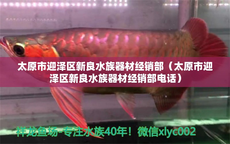 太原市迎泽区新良水族器材经销部（太原市迎泽区新良水族器材经销部电话）