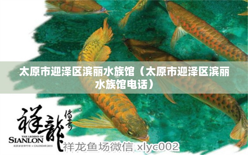 太原市迎泽区滨丽水族馆（太原市迎泽区滨丽水族馆电话）