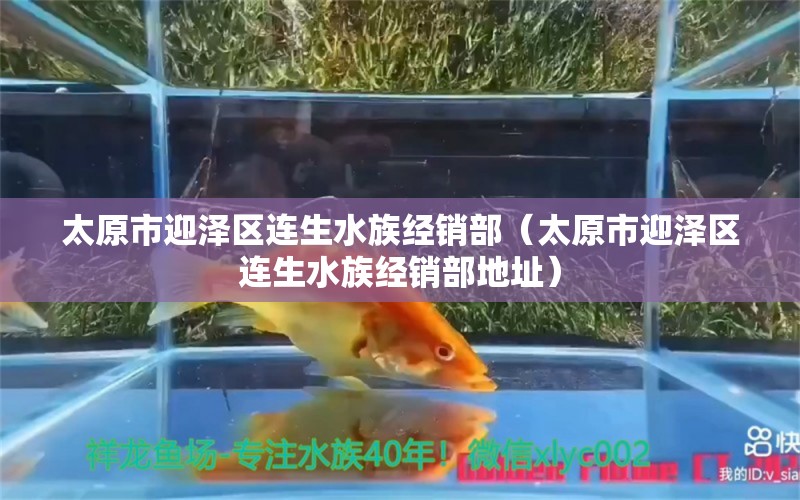 太原市迎泽区连生水族经销部（太原市迎泽区连生水族经销部地址） 全国水族馆企业名录