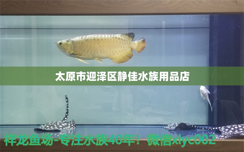 太原市迎泽区静佳水族用品店 水族用品