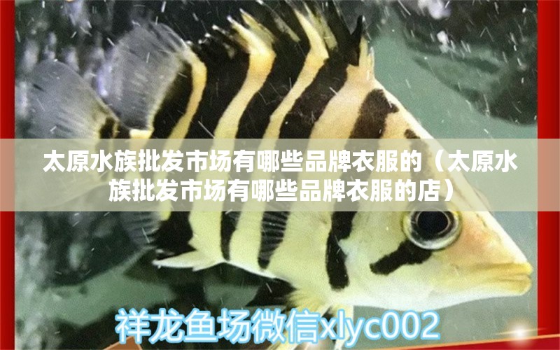 太原水族批发市场有哪些品牌衣服的（太原水族批发市场有哪些品牌衣服的店）