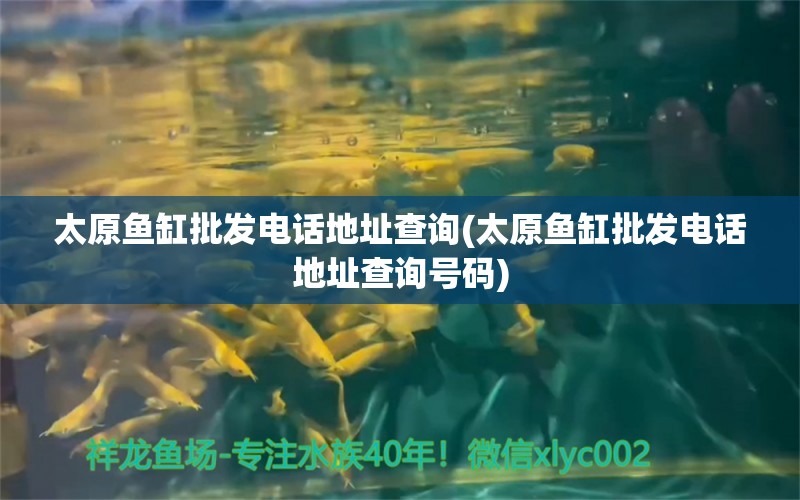 太原鱼缸批发电话地址查询(太原鱼缸批发电话地址查询号码) 罗汉鱼