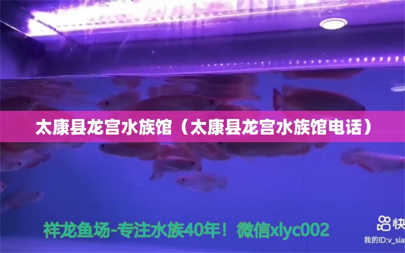 太康县龙宫水族馆（太康县龙宫水族馆电话） 全国水族馆企业名录