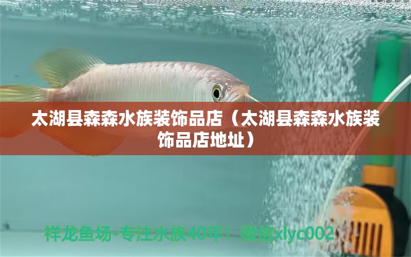 太湖县森森水族装饰品店（太湖县森森水族装饰品店地址）