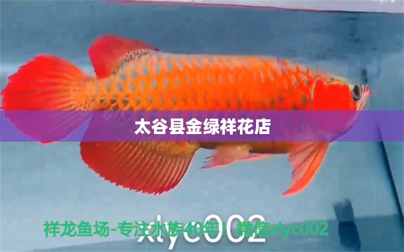 太谷县金绿祥花店 全国水族馆企业名录