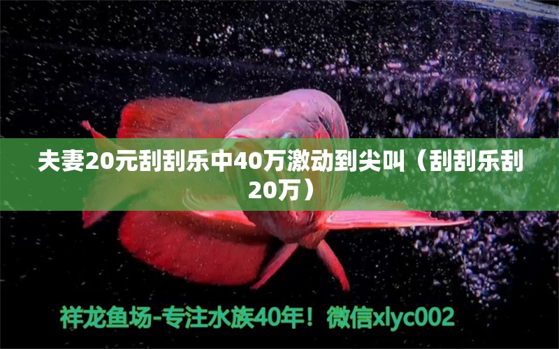 夫妻20元刮刮乐中40万激动到尖叫（刮刮乐刮20万）