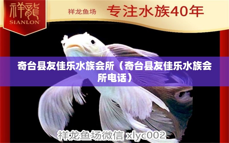 奇台县友佳乐水族会所（奇台县友佳乐水族会所电话） 全国水族馆企业名录